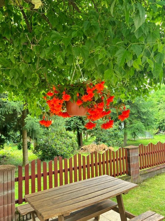 GOŁĘBI PUCH - Przytulny Apartament z Ogrodem, Kudowa Zdrój Zewnętrze zdjęcie