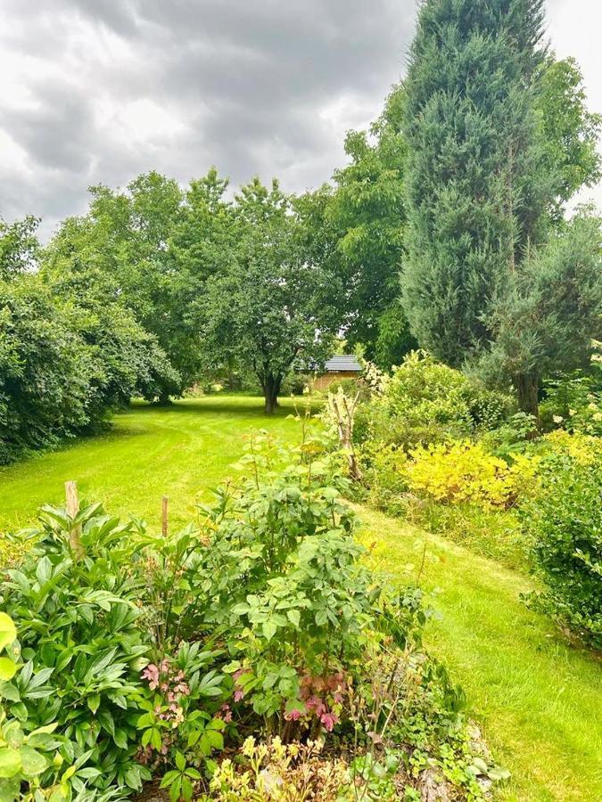 GOŁĘBI PUCH - Przytulny Apartament z Ogrodem, Kudowa Zdrój Zewnętrze zdjęcie